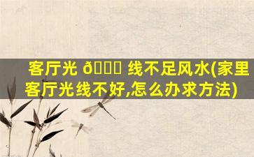 客厅光 🐝 线不足风水(家里客厅光线不好,怎么办求方法)